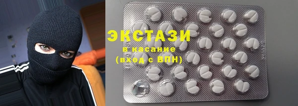 стаф Алзамай