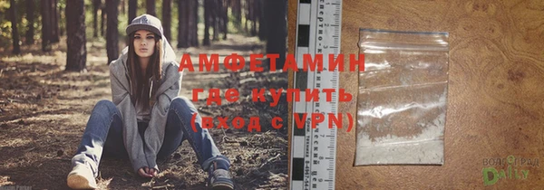 стаф Алзамай
