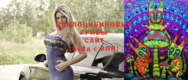 стаф Алзамай