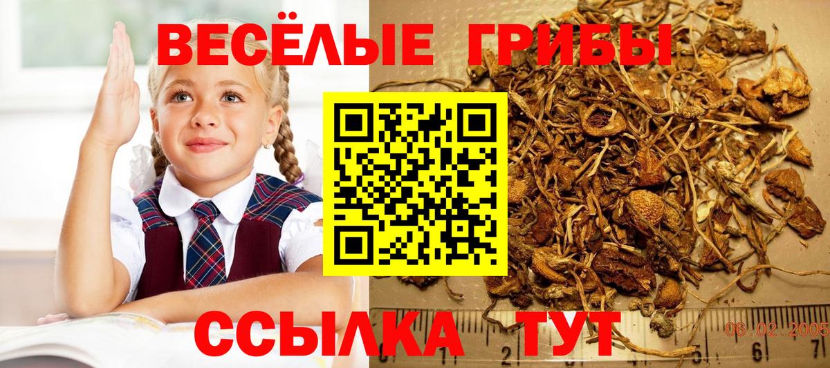  COCAIN Уссурийск